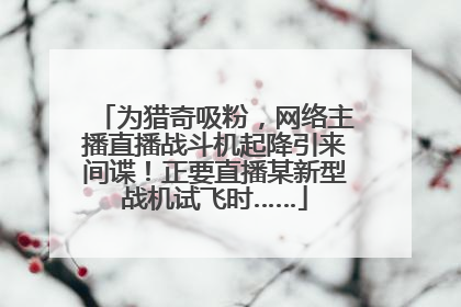 为猎奇吸粉，网络主播直播战斗机起降引来间谍！正要直播某新型战机试飞时……