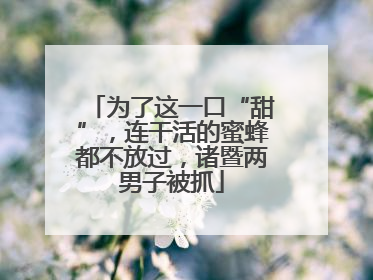 为了这一口“甜”，连干活的蜜蜂都不放过，诸暨两男子被抓