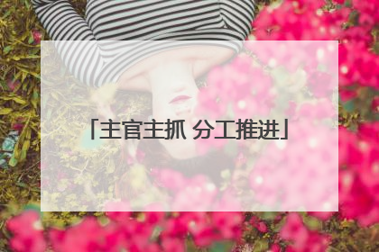 主官主抓 分工推进