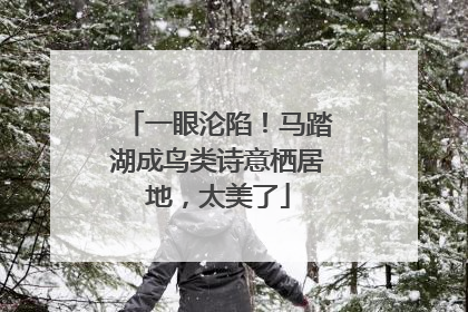 一眼沦陷！马踏湖成鸟类诗意栖居地，太美了