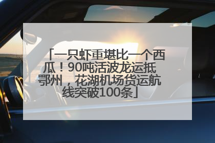 一只虾重堪比一个西瓜！90吨活波龙运抵鄂州，花湖机场货运航线突破100条