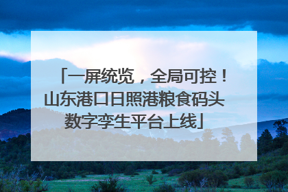 一屏统览，全局可控！山东港口日照港粮食码头数字孪生平台上线