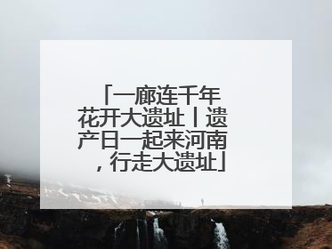 一廊连千年 花开大遗址丨遗产日一起来河南，行走大遗址