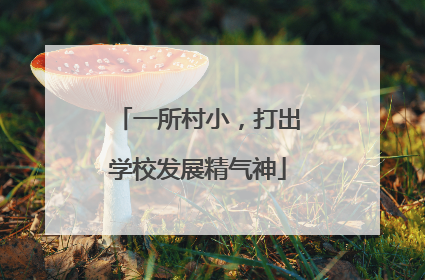 一所村小，打出学校发展精气神