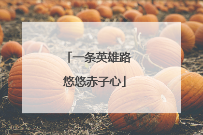 一条英雄路 悠悠赤子心