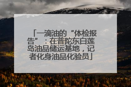 一滴油的“体检报告”：在普陀东白莲岛油品储运基地，记者化身油品化验员