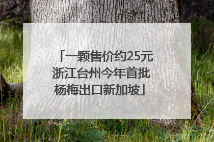 一颗售价约25元 浙江台州今年首批杨梅出口新加坡