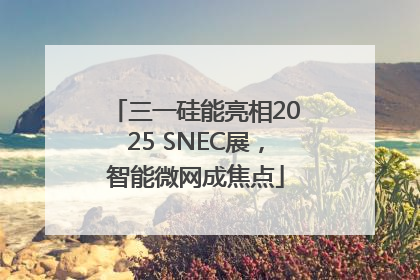 三一硅能亮相2025 SNEC展，智能微网成焦点