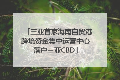 三亚首家海南自贸港跨境资金集中运营中心落户三亚CBD
