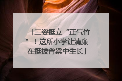 三姿挺立“正气竹”！这所小学让清廉在挺拔脊梁中生长