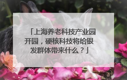 上海养老科技产业园开园，硬核科技将给银发群体带来什么？