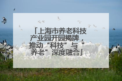 上海市养老科技产业园开园揭牌，推动“科技”与“养老”深度融合