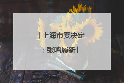 上海市委决定：张鸣履新