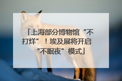上海部分博物馆“不打烊”！埃及展将开启“不眠夜”模式