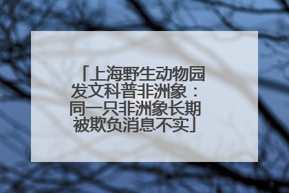 上海野生动物园发文科普非洲象：同一只非洲象长期被欺负消息不实