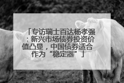 专访瑞士百达杨孝强：新兴市场债券投资价值凸显，中国债券适合作为“稳定器”