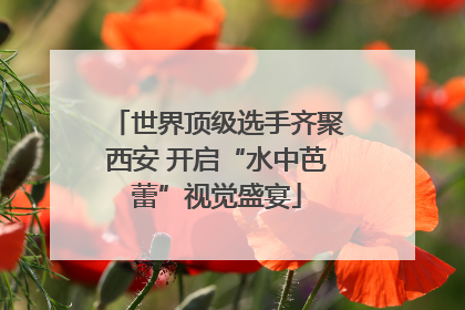 世界顶级选手齐聚西安 开启“水中芭蕾”视觉盛宴