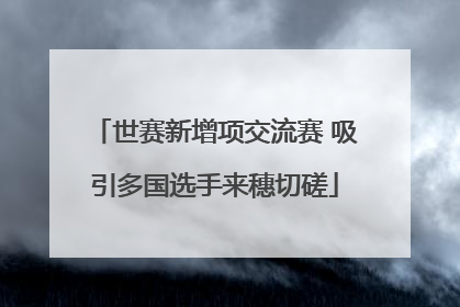 世赛新增项交流赛 吸引多国选手来穗切磋