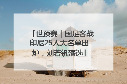 世预赛｜国足客战印尼25人大名单出炉，刘若钒落选