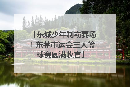 东城少年制霸赛场！东莞市运会三人篮球赛圆满收官