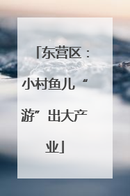 东营区：小村鱼儿“游”出大产业