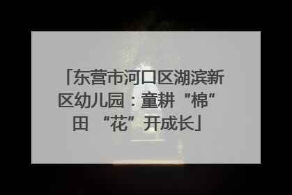 东营市河口区湖滨新区幼儿园:童耕“棉”田 “花”开成长