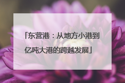 东营港：从地方小港到亿吨大港的跨越发展