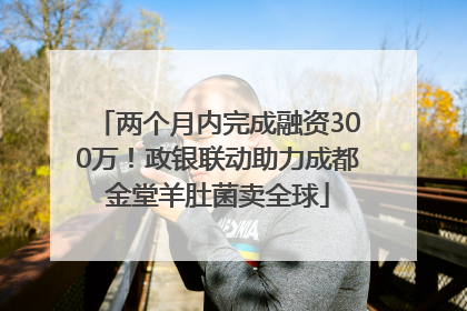 两个月内完成融资300万！政银联动助力成都金堂羊肚菌卖全球