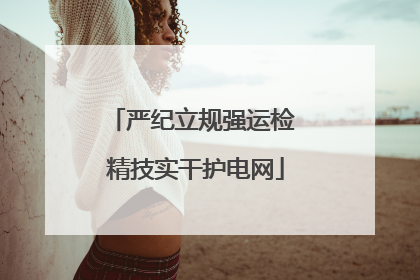 严纪立规强运检 精技实干护电网