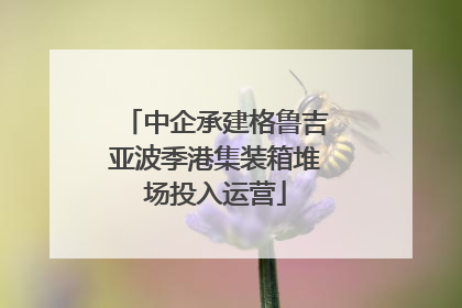中企承建格鲁吉亚波季港集装箱堆场投入运营