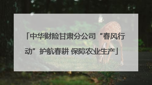 中华财险甘肃分公司“春风行动”护航春耕 保障农业生产