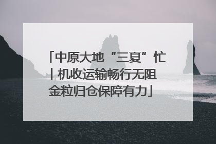 中原大地“三夏”忙丨机收运输畅行无阻 金粒归仓保障有力