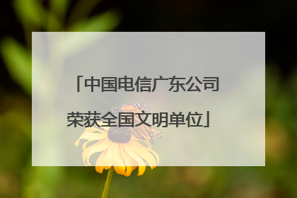 中国电信广东公司荣获全国文明单位