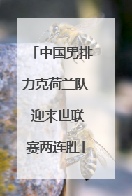 中国男排力克荷兰队 迎来世联赛两连胜
