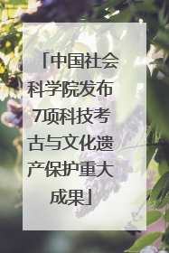 中国社会科学院发布7项科技考古与文化遗产保护重大成果