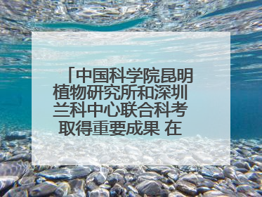 中国科学院昆明植物研究所和深圳兰科中心联合科考取得重要成果 在神农架发现两种“国保”级兰花