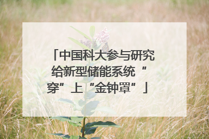 中国科大参与研究 给新型储能系统“穿”上“金钟罩”