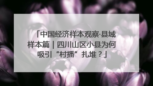 中国经济样本观察·县域样本篇｜四川山区小县为何吸引“村播”扎堆？