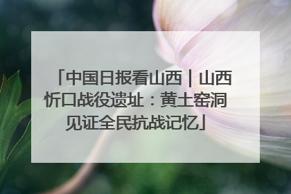 中国日报看山西｜山西忻口战役遗址：黄土窑洞见证全民抗战记忆
