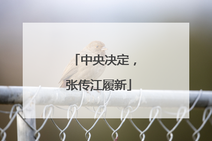 中央决定，张传江履新