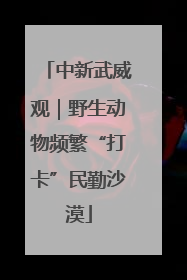 中新武威观｜野生动物频繁“打卡”民勤沙漠