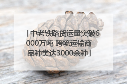 中老铁路货运量突破6000万吨 跨境运输商品种类达3000余种