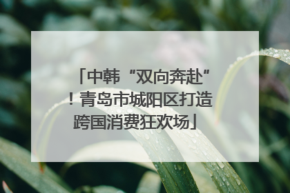 中韩“双向奔赴”！青岛市城阳区打造跨国消费狂欢场