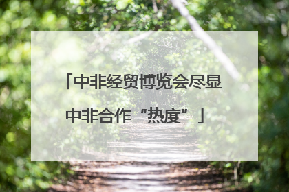 中非经贸博览会尽显中非合作“热度”