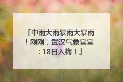 中雨大雨暴雨大暴雨！刚刚，武汉气象官宣：18日入梅！