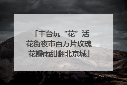 丰台玩“花”活 花街夜市百万片玫瑰花瓣雨甜翻北京城