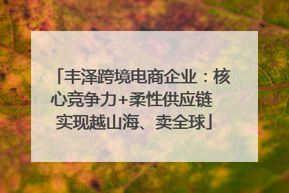 丰泽跨境电商企业：核心竞争力+柔性供应链 实现越山海、卖全球
