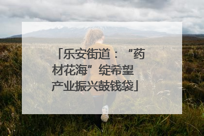 乐安街道：“药材花海”绽希望 产业振兴鼓钱袋