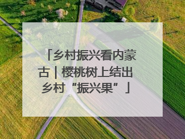 乡村振兴看内蒙古｜樱桃树上结出乡村“振兴果”