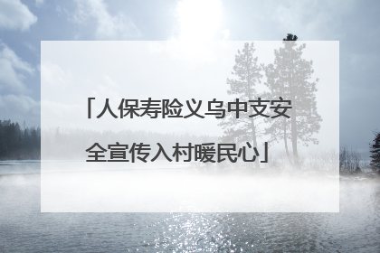 人保寿险义乌中支安全宣传入村暖民心
